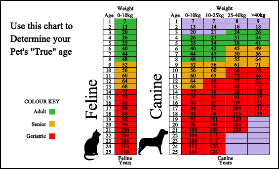 Pet Health Screening Age Chart