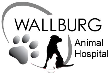 thomasville animal hospital nc