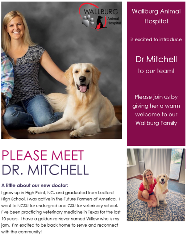 Dr. Mitchell Flyer